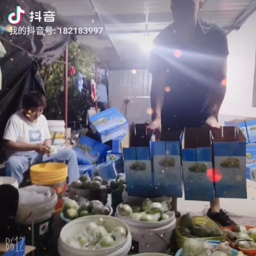 东营新梨七号香梨