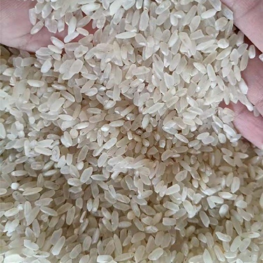 兴宁市酒米白净无异味四选好碎米色选米 饲料米鸡食米厂家直批跑量