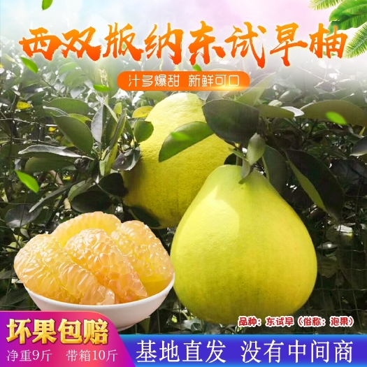 东试早蜜柚汁多皮薄肉厚鲜果老人小孩孕妇都可以食用代餐香甜