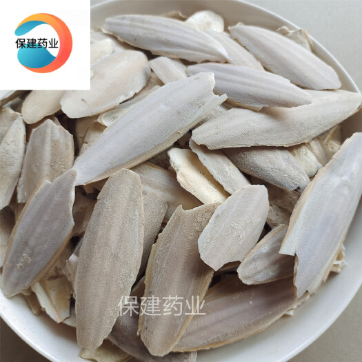 鄄城县乌贼骨 鱼骨 海螵蛸统货 产地 广西福建等地