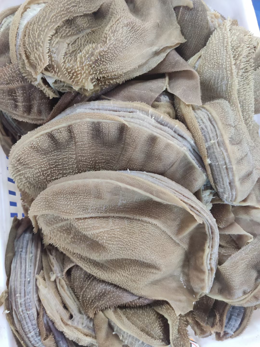 毛肚  渝宏炜食品有限公司是专业从事火锅食品系列生产与销售的