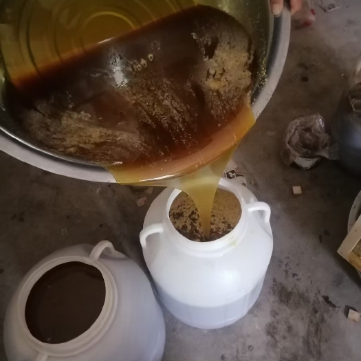 康县土蜂蜜一年只取一次