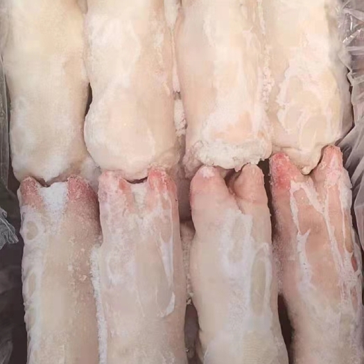 盘山县母猪系列母猪蹄一级蹄，肥猪次蹄二级蹄