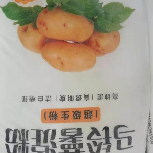 丹东马铃薯淀粉