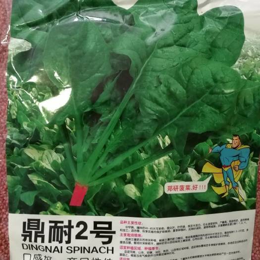 夏邑县鼎耐菠菜种子