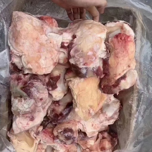郑州牛窝骨，实拍图片