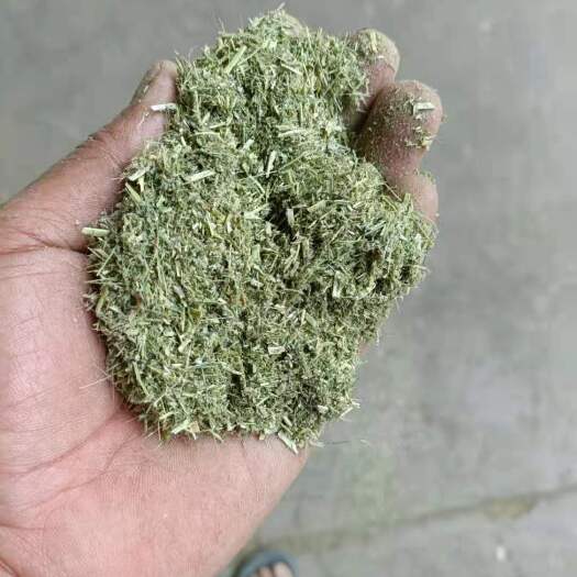 固原头茬苜蓿草粉
