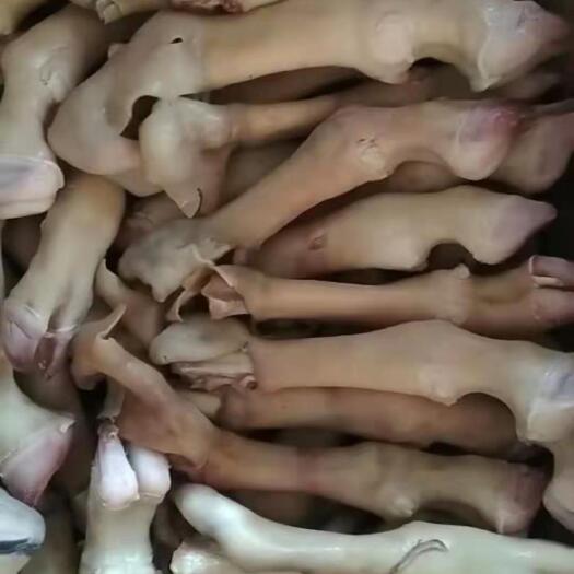 阳信县 羊蹄