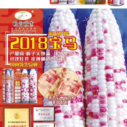 郑州甜玉米种子  糯玉米种子，