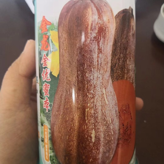 盐城蜜本南瓜种子 微甜，糯感好，沟棱深长，瓜型正，50克装