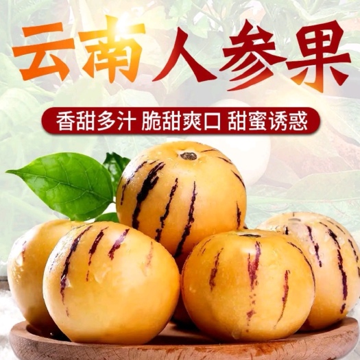 石林县云南石林人参果，树上熟，现摘现发，一件代发，市场货