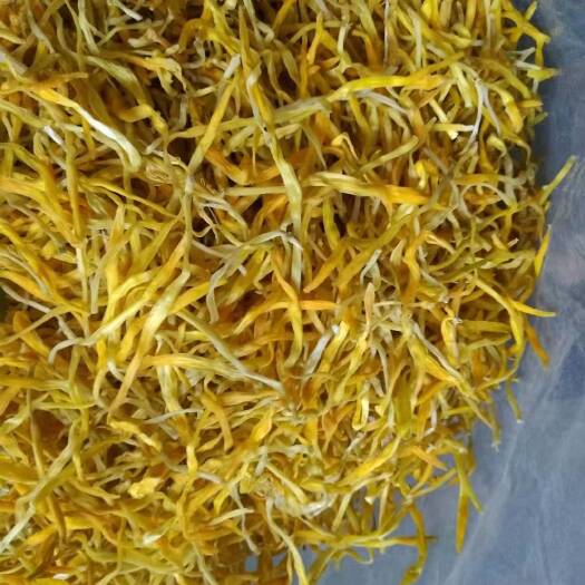 东莞市大黄花 全干  特干  凉菜专用黄花菜
