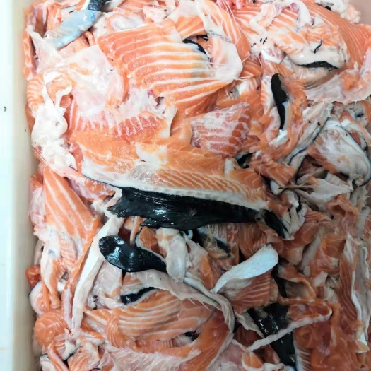 佛山智利挪威三文鱼边角料宠物食品原料狗场喂养