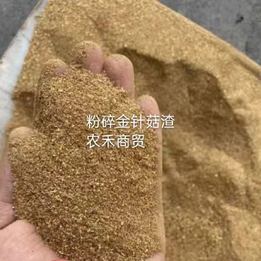 石家庄 金针菇渣