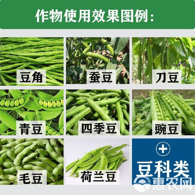 豆角长满藤拉直增长微量元素叶面肥增产芸豆荷兰豆四季豆保花保荚