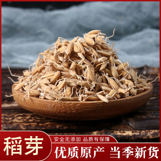 稻芽 新货稻谷芽中药材生稻芽另有炒稻芽生麦芽生谷芽双芽