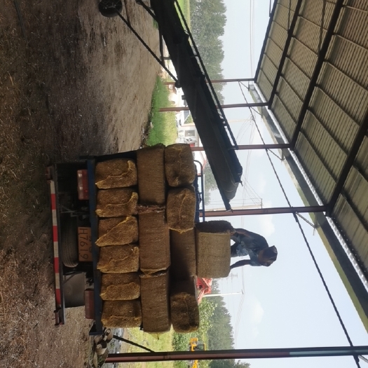 东海县小麦秸秆  牛草 套袋小方包