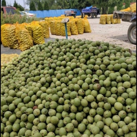 渭南 鲜青皮核桃
