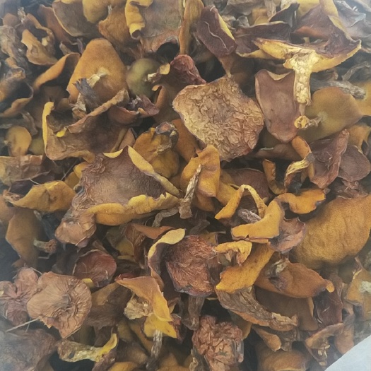 扎兰屯市蘑菇 箱装 1年以上 