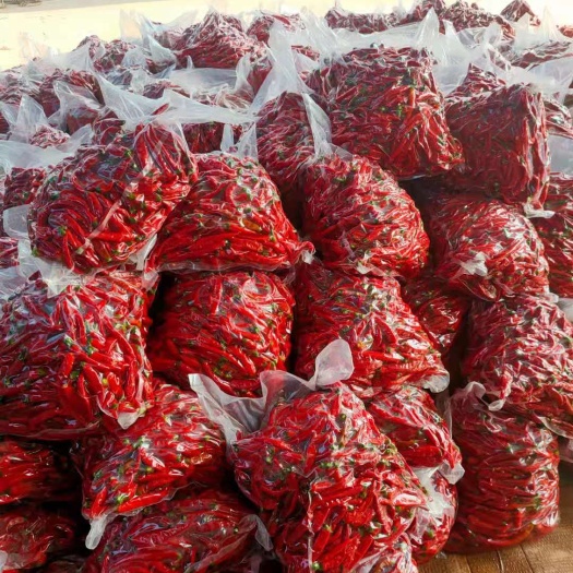 邯郸多品种红泡椒大量现货，需要的联系我。