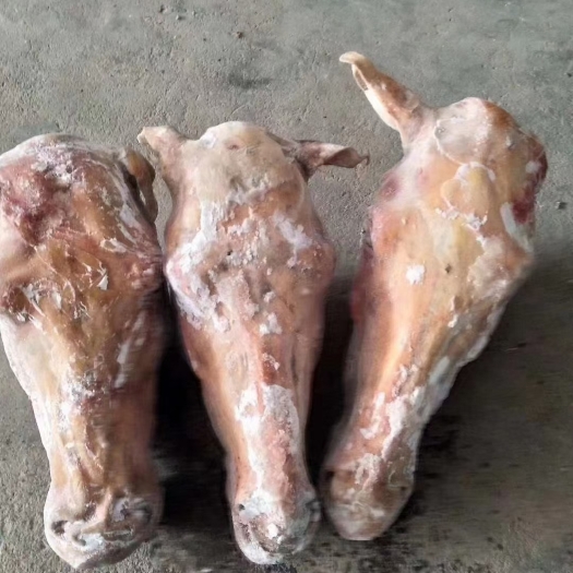 驴头  颜色新鲜质量好出肉率高