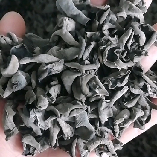 桓仁县黑木耳产地批发
