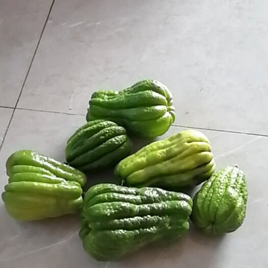 泸县 新鲜佛手果