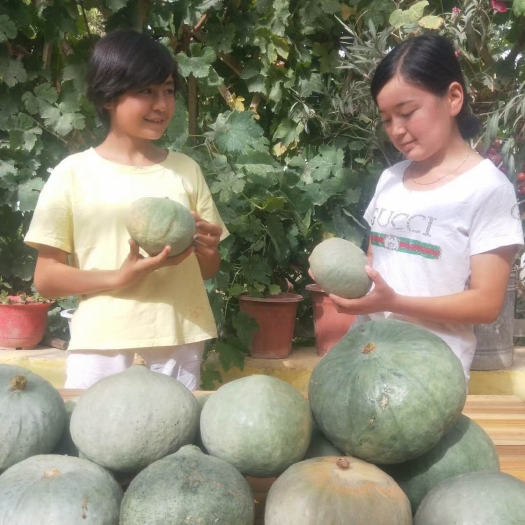 彭州市板栗南瓜  正宗银栗蓝瓜