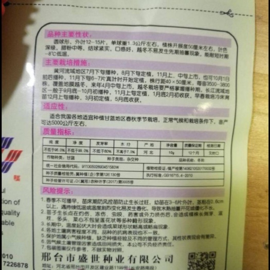 包菜种子 越冬甘蓝种子