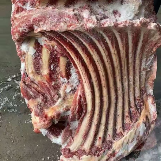 郑州驴骨 驴排肉多颜色新鲜质量好出肉率高