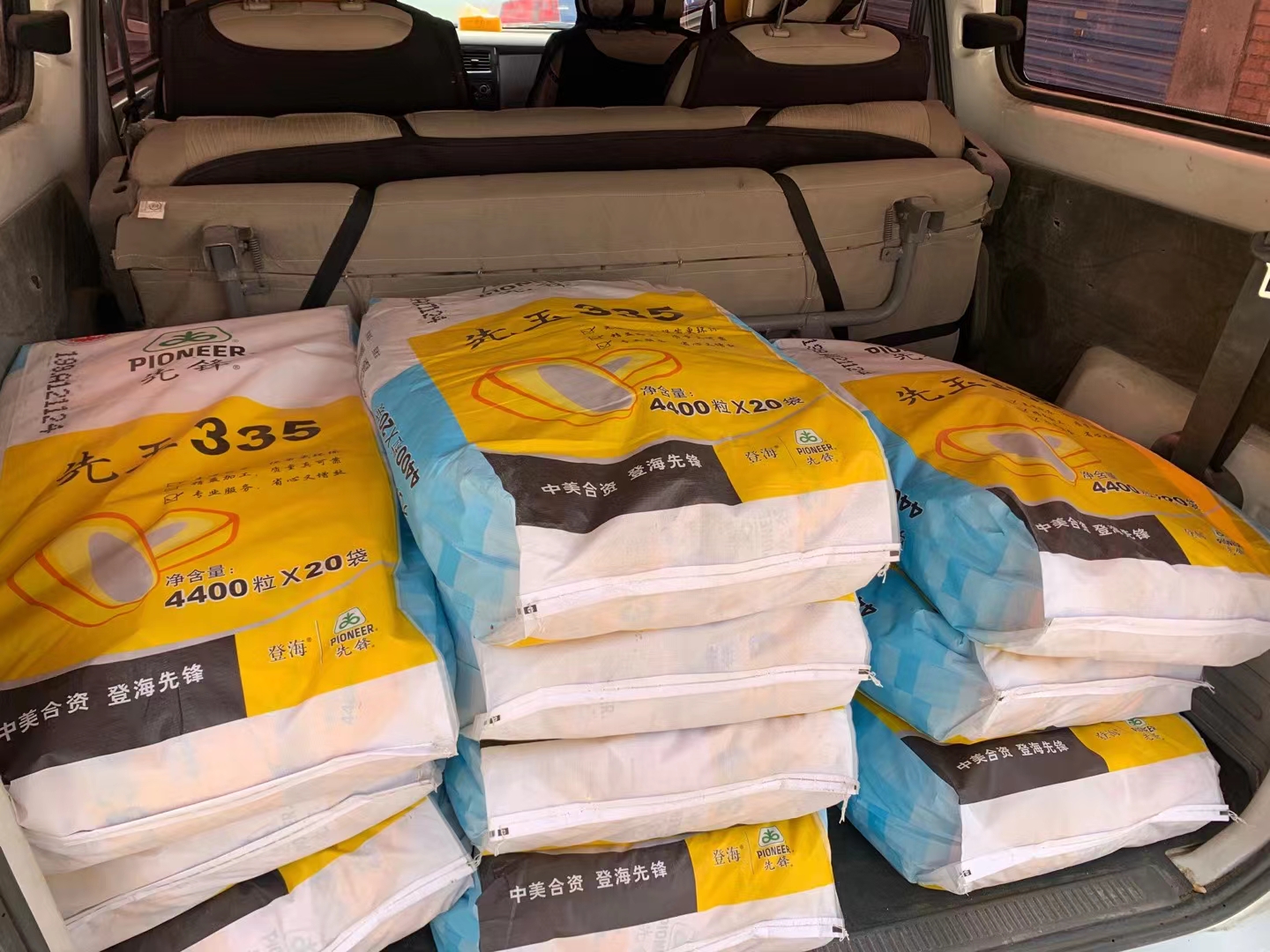 先玉335玉米种子  先玉335国内玉米种植面积第二大品种产