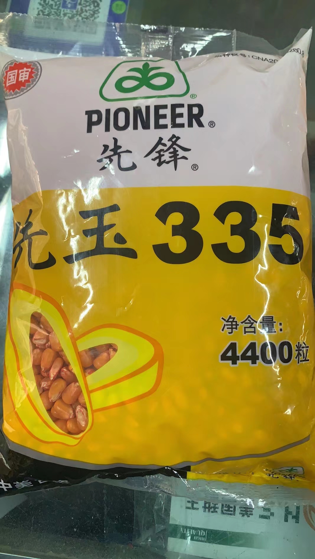 先玉335玉米种子  先玉335国内玉米种植面积第二大品种产