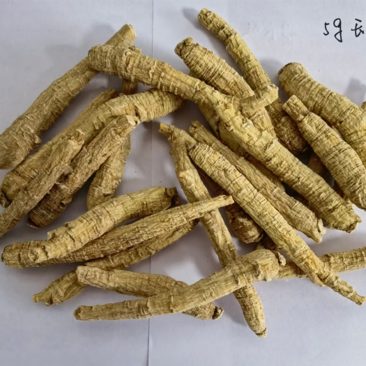 威海 文登西洋参5克长枝