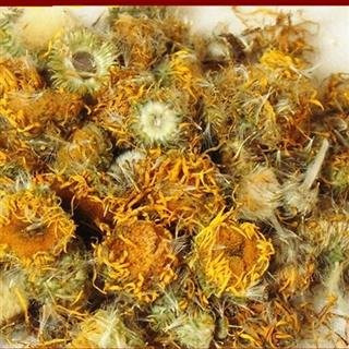 永州 出售旋覆花又叫金钱花