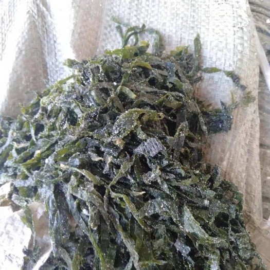 海白菜 盐渍碎丝