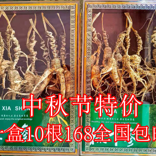 亳州移山参  正品林下籽山参 二十年参龄 一盒10条泡酒泡水一件包邮可打粉