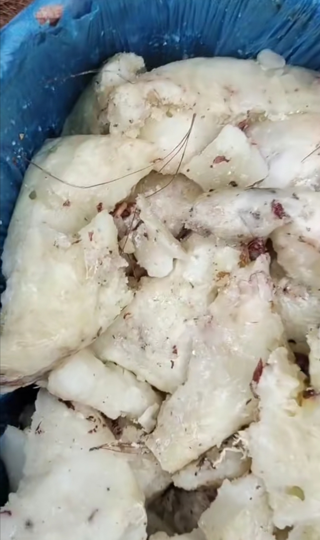 澜沧拉祜族自治县 云南省普洱市澜沧县松脂