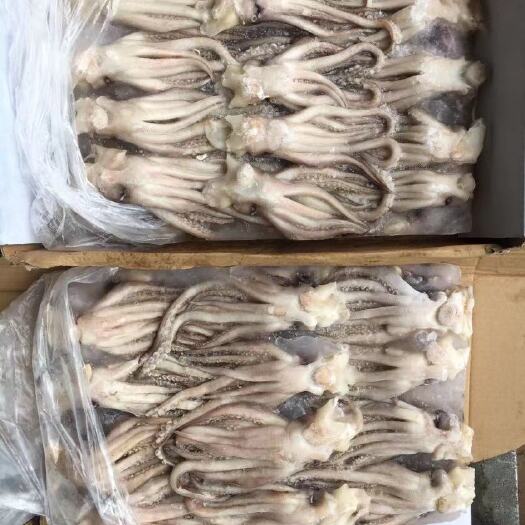 深圳 10kg双片鱿鱼头