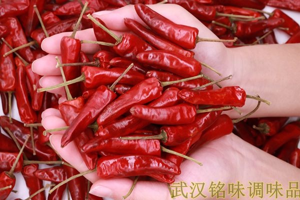 武汉 衢州鸭头专用福建辣椒王