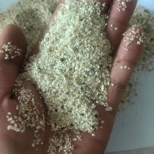 石家庄 糠碎米