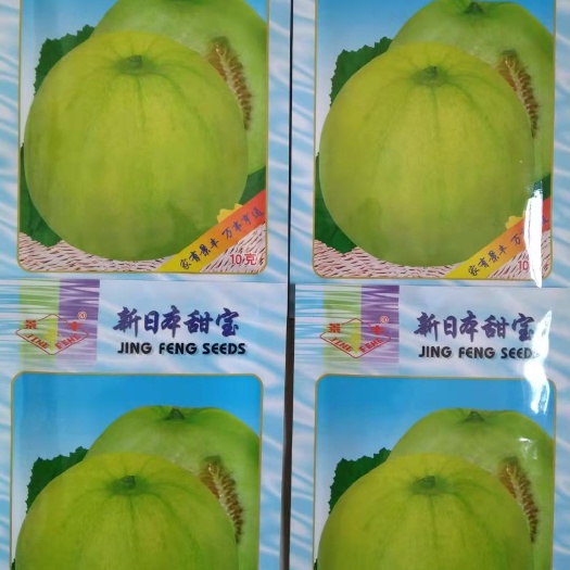 菜芙蓉种子  新日本甜宝，甜瓜种子批发