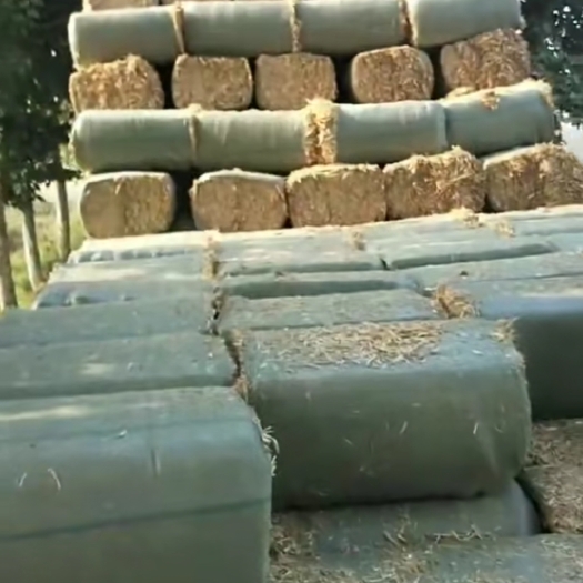 襄樊小麦秸秆 牛 