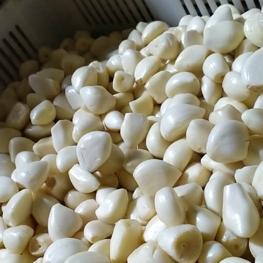 兰陵县 蒜米，