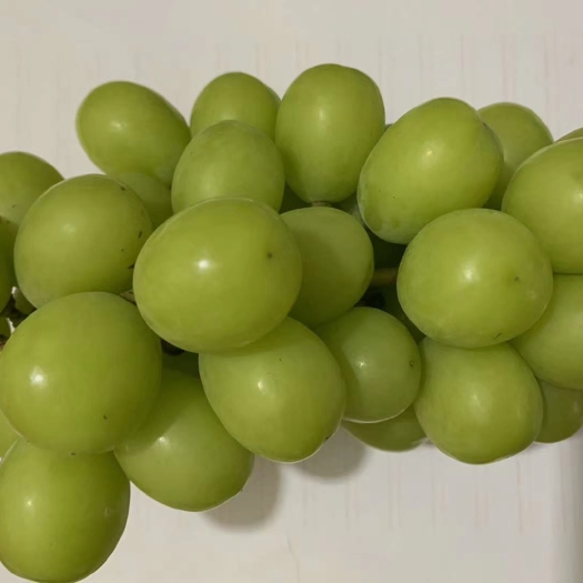 白水县阳光玫瑰葡萄