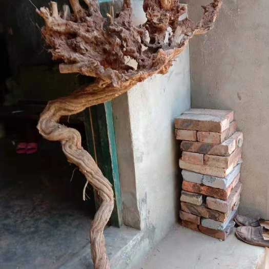 简阳市黄荆桩 黄荆桩头