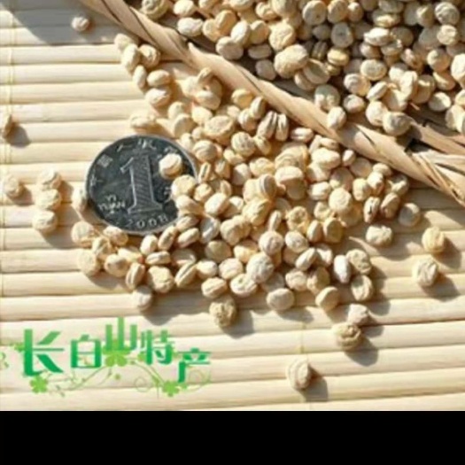 抚松县人参的种子干货不宜种植自干人参籽