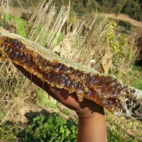 郁南县百花蜜 蜂蜜