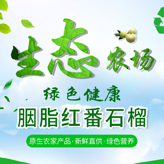 化州市番石榴 广东省茂名市化州市