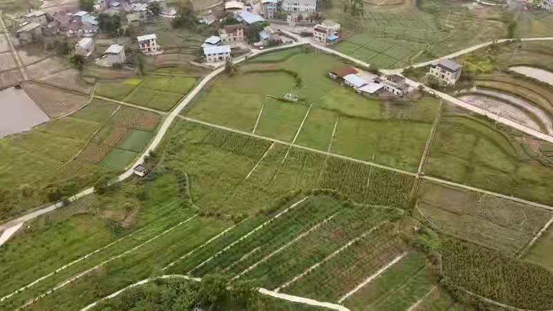 重庆市永川区300亩生态园林出租