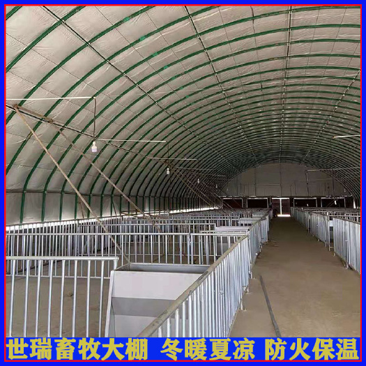 养殖大棚 养猪大棚施工 养猪场规划设计 养猪舍搭建